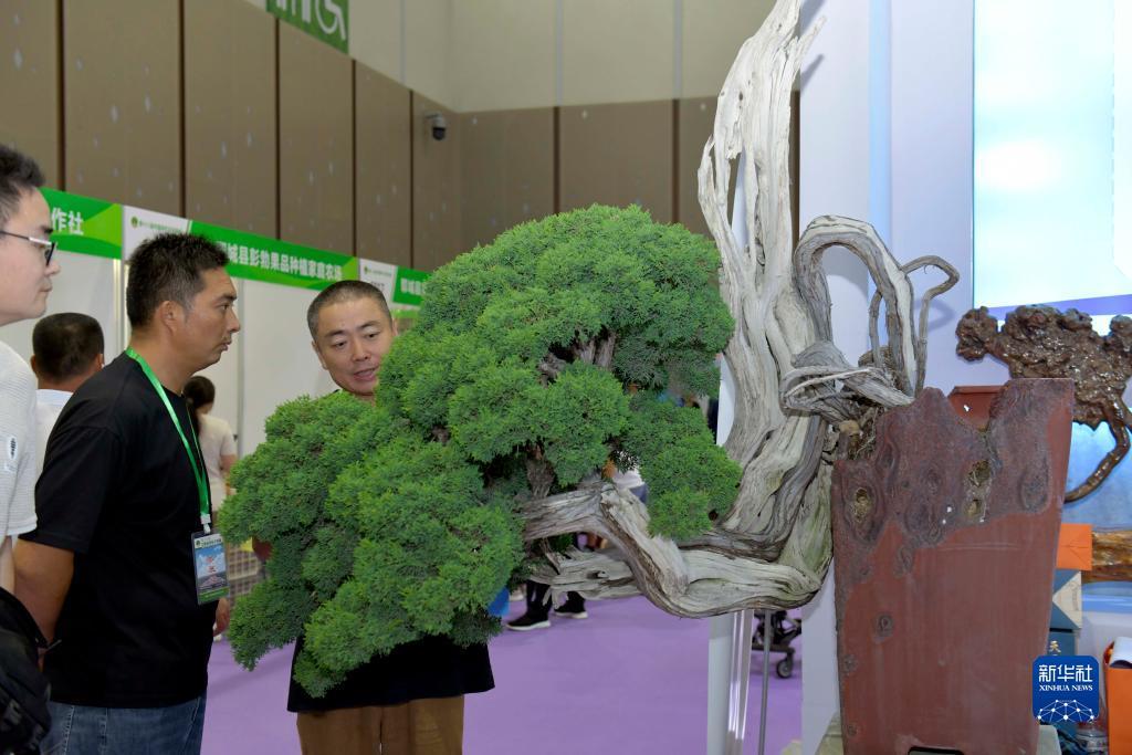 银河网官网